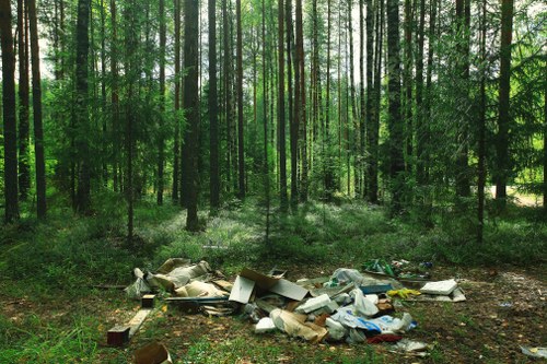 Planning garden clearance with Garden Clearance Catford